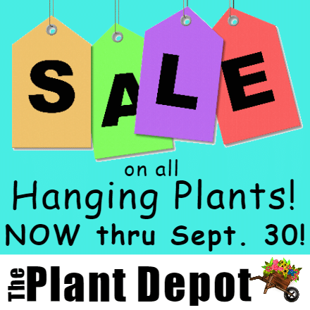 Customize Your Own Retail Banners - Plants Sale Template - Custom Graphix
