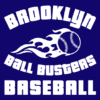 Custom Baseball Banners - Ball Busters Template - Custom Graphix