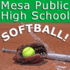 Customize Your Own Softball Banners - Public Shool Template - Custom Graphix