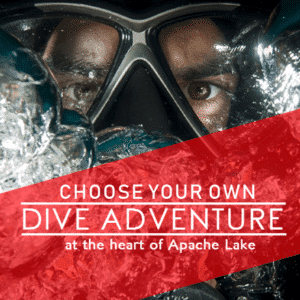 Customize Your Own Swimming Banners - Dive Adventure Template - Custom Graphix